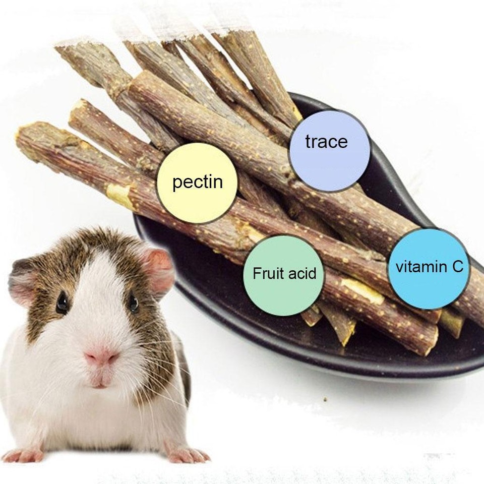 🎄50g Pets Chew Sticks Guinea Pig Toy Apple Wood Rabbit Twigs for Small