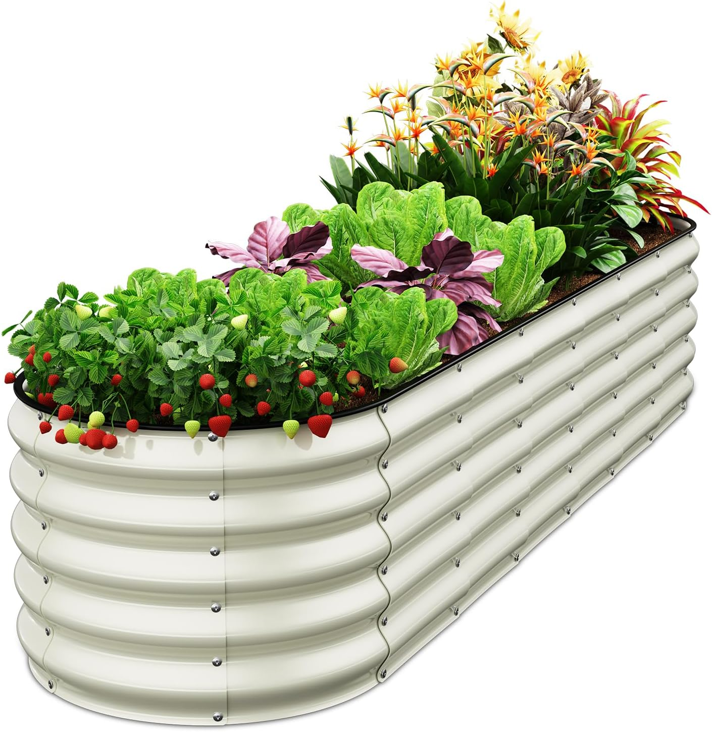 Oval 8X2X1.5 FT Galvanized Raised Garden Bed Kit, 7 in 1 Large Metal Planter Box