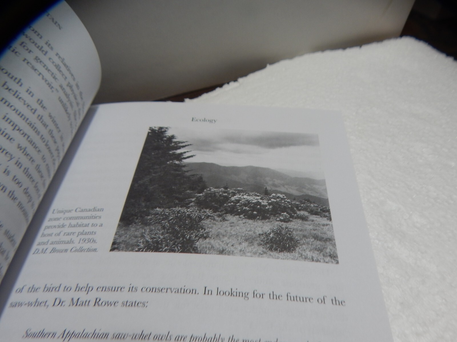 Roan Mountain Appalachian Treasure Tennessee, Brief History, Paperback