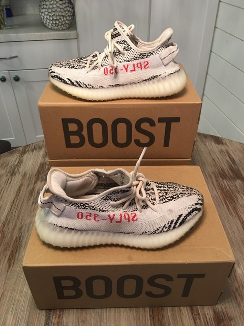 yeezy 350 zebra size 7