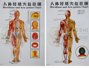 Chinese Meridians Time Chart