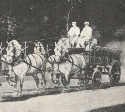 1907 Armour's World Famous Grays International Draft Horse Champions Postcard