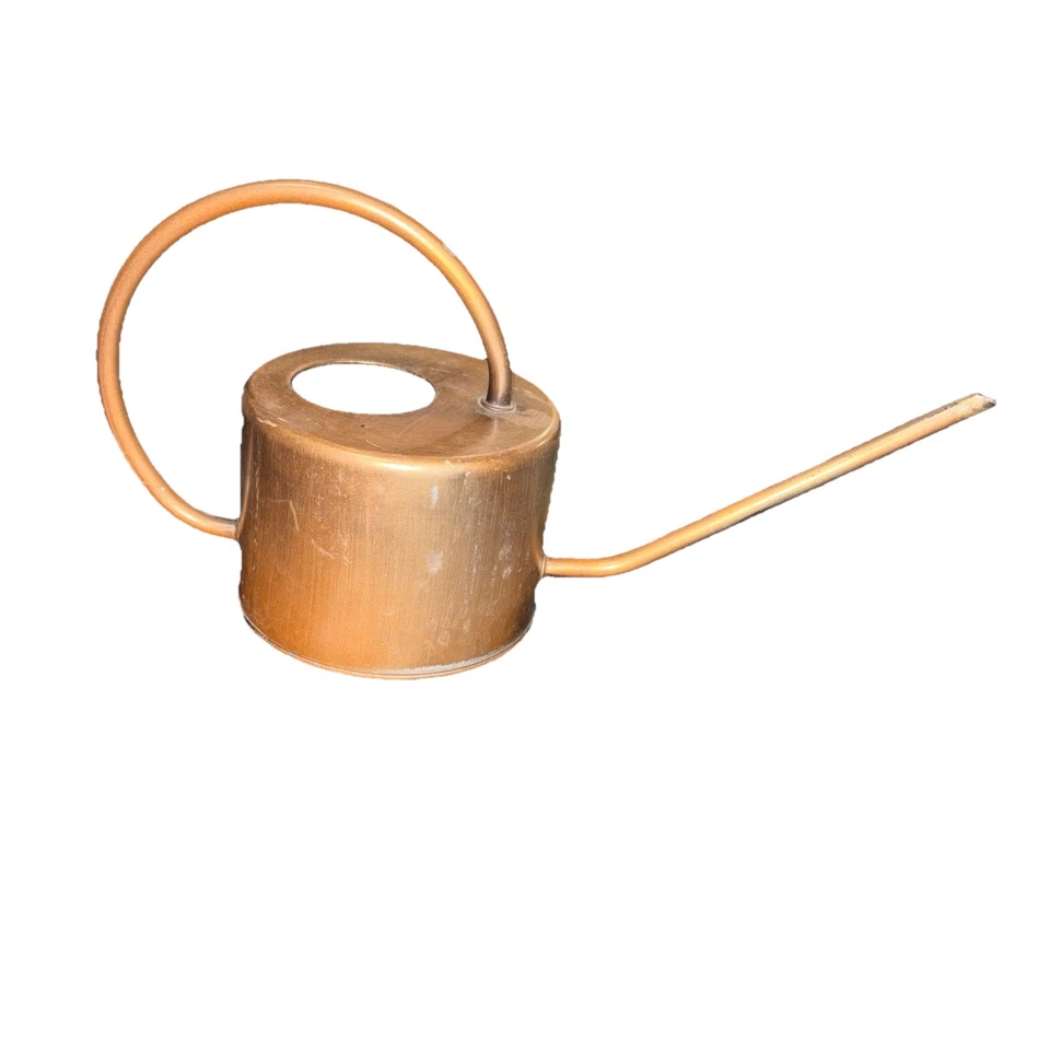 LATA DE AGUA estilo ART DECO violetas orquídeas mango arqueado caño largo de colección Foto 2 de 4