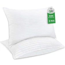 Gogreen 2 Pack Pillows for Bed Standard Size Pillows Insert, Soft Down Pillows