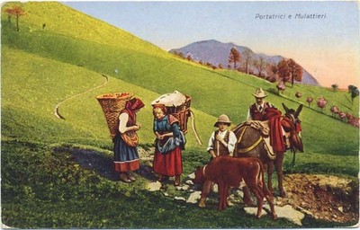 20005145 - Eseltransport.,Esare Capello Italien um 1910/20