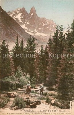 Chamonix Le bois du Paradis et aig du Dru Massif du Mont Blanc