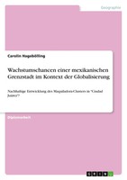 Wachstumschancen Einer Mexikanischen Grenzstadt Im Kontext Der Globalisierung
