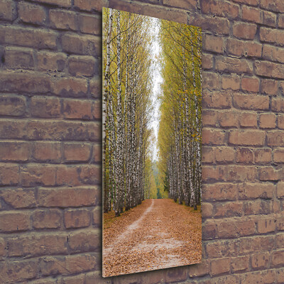 Wandbild Druck auf Plexiglas  Acryl Hochformat 50x125 Birkenwald