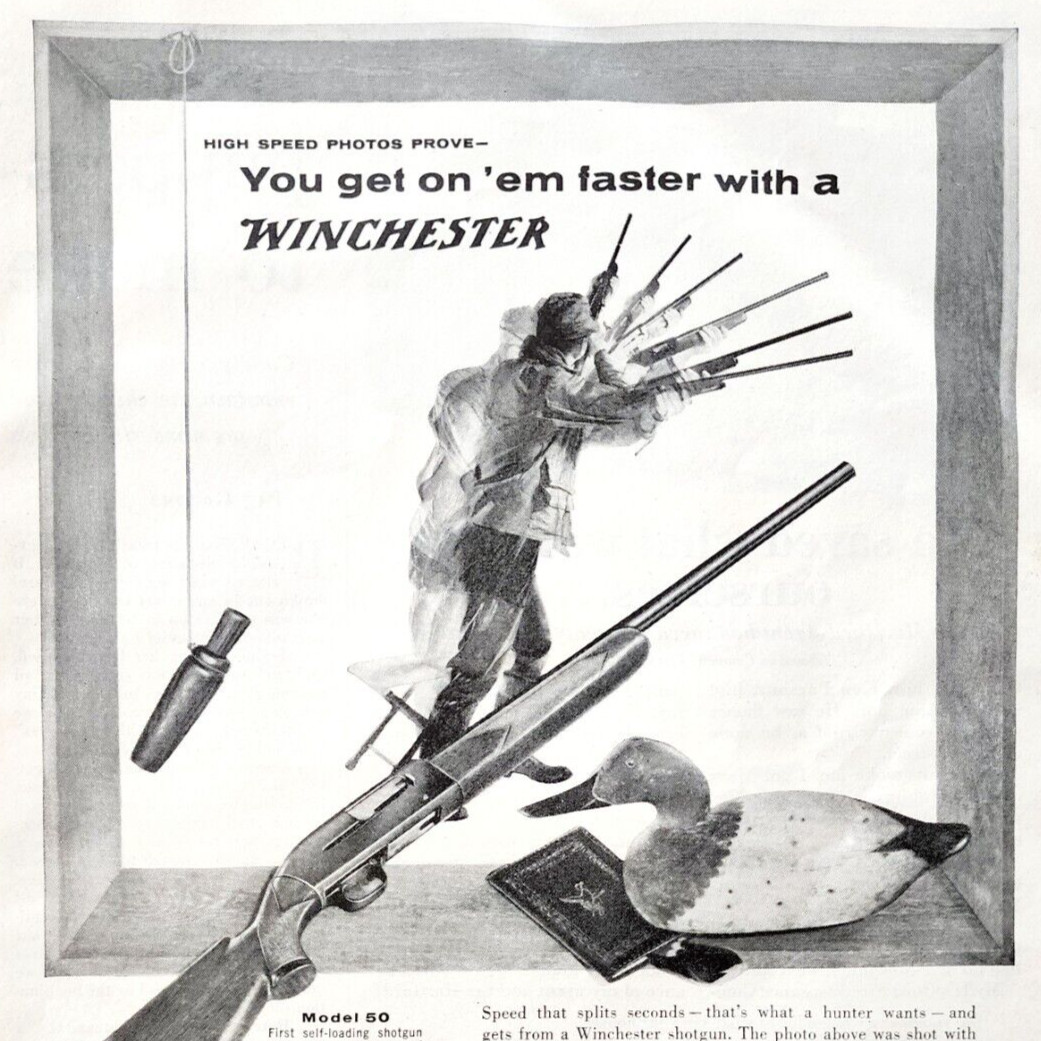 1955 Winchester Model 50 & 12 Shotguns Advertisement Vintage Hunting Guns DWF12