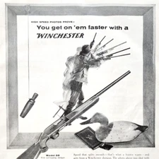 1955 Winchester Model 50 & 12 Shotguns Advertisement Vintage Hunting Guns DWF12