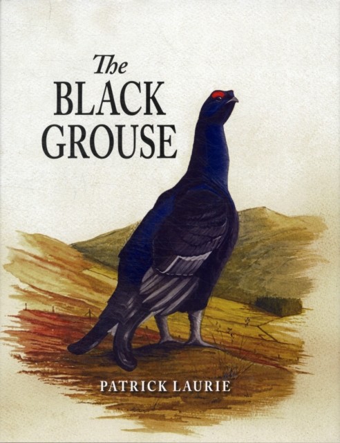 The Black Grouse by Patrick Laurie - - Image 4