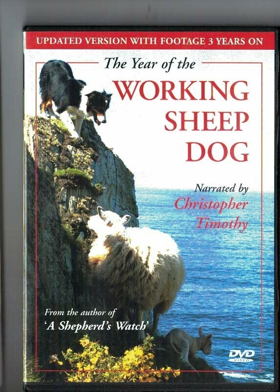 THE YEAR OF THE WORKING SHEEP DOG DVD