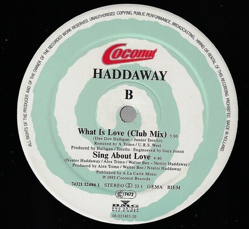 Haddaway What Is Love COCONUT 1992 HOLLAND DISCO VINILE 33 GIRI AC11 86988 - Foto 3 di 4