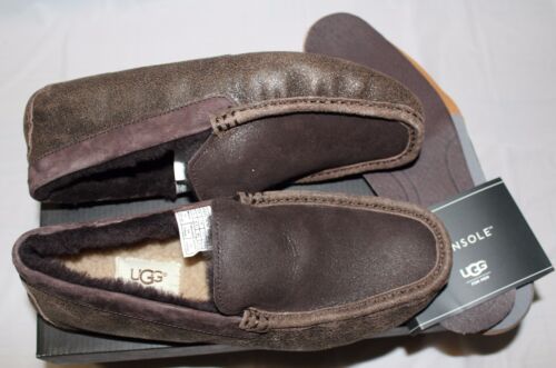 UGG M HENRICK CHAQUETA BOMBER CHOCOLATE ZAPATOS DE CONDUCIR TALLA 7,5 M - Imagen 3 de 8