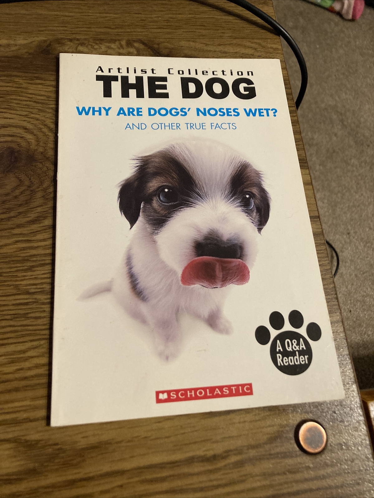 Should Dogs Be Allowed In Restaurants Scholastic