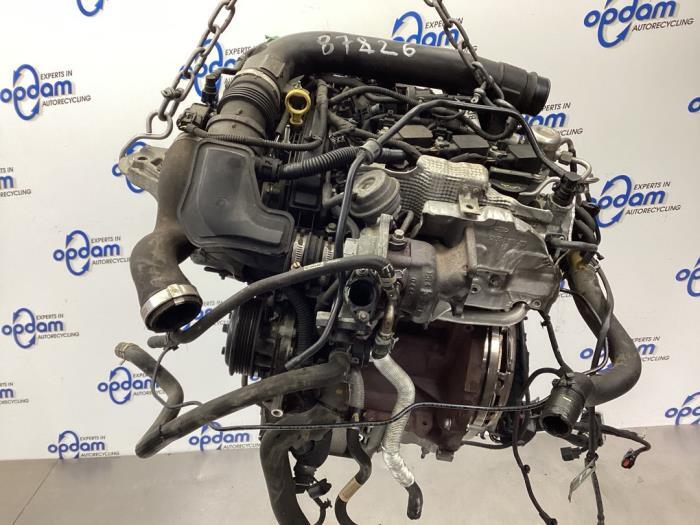 P18119274 Motor ohne Anbauteile (Benzin) FORD Fiesta VI (CB1 CCN  