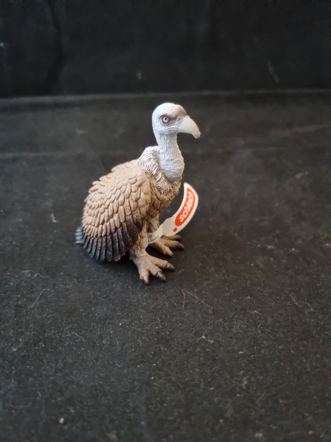 Schleich 14847 Vulture African Wild Animal Figure Bird of Prey New