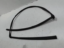 2016-2020 HONDA CIVIC COUPE FRONT DRIVER DOOR WINDOW GLASS RUN CHANNEL SEAL OEM