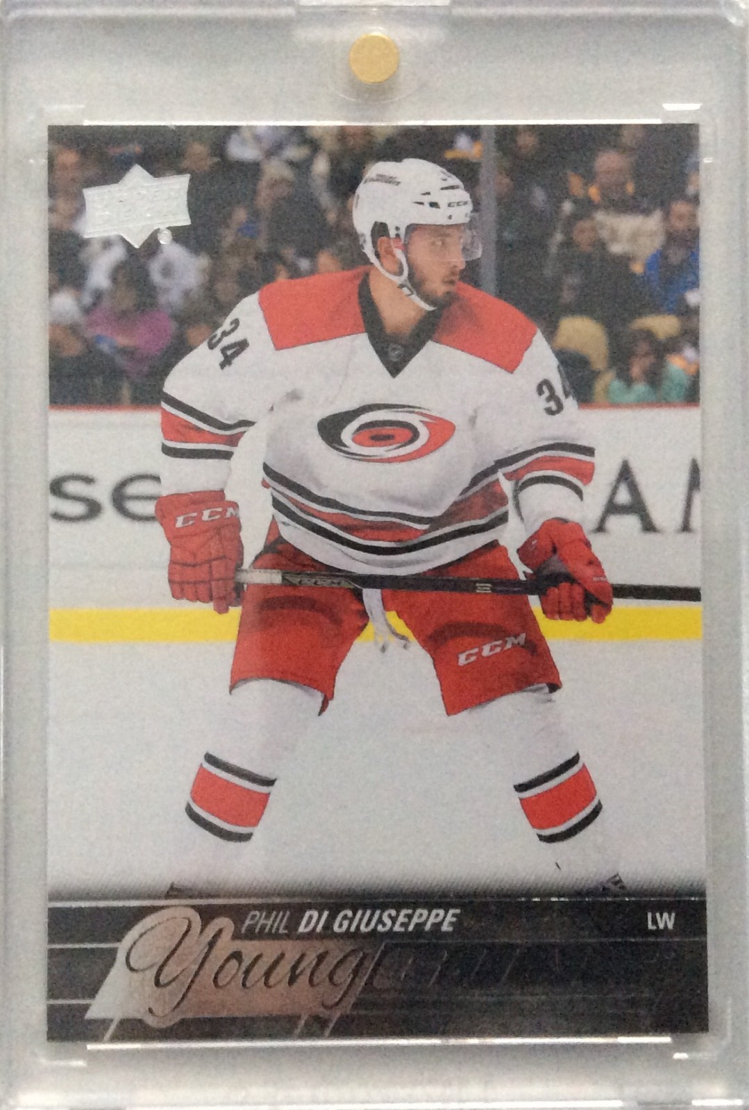 2015-16 Upper Deck Young Guns Update Rookie RC #529 Phil Di Giuseppe