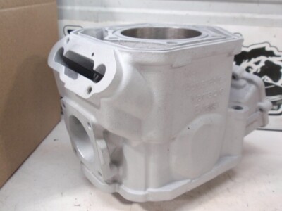 OEM SkiDoo MXZ 600 Etec Cylinder GSX Summit Snowmobile 623262 Reman $50CoreRef.