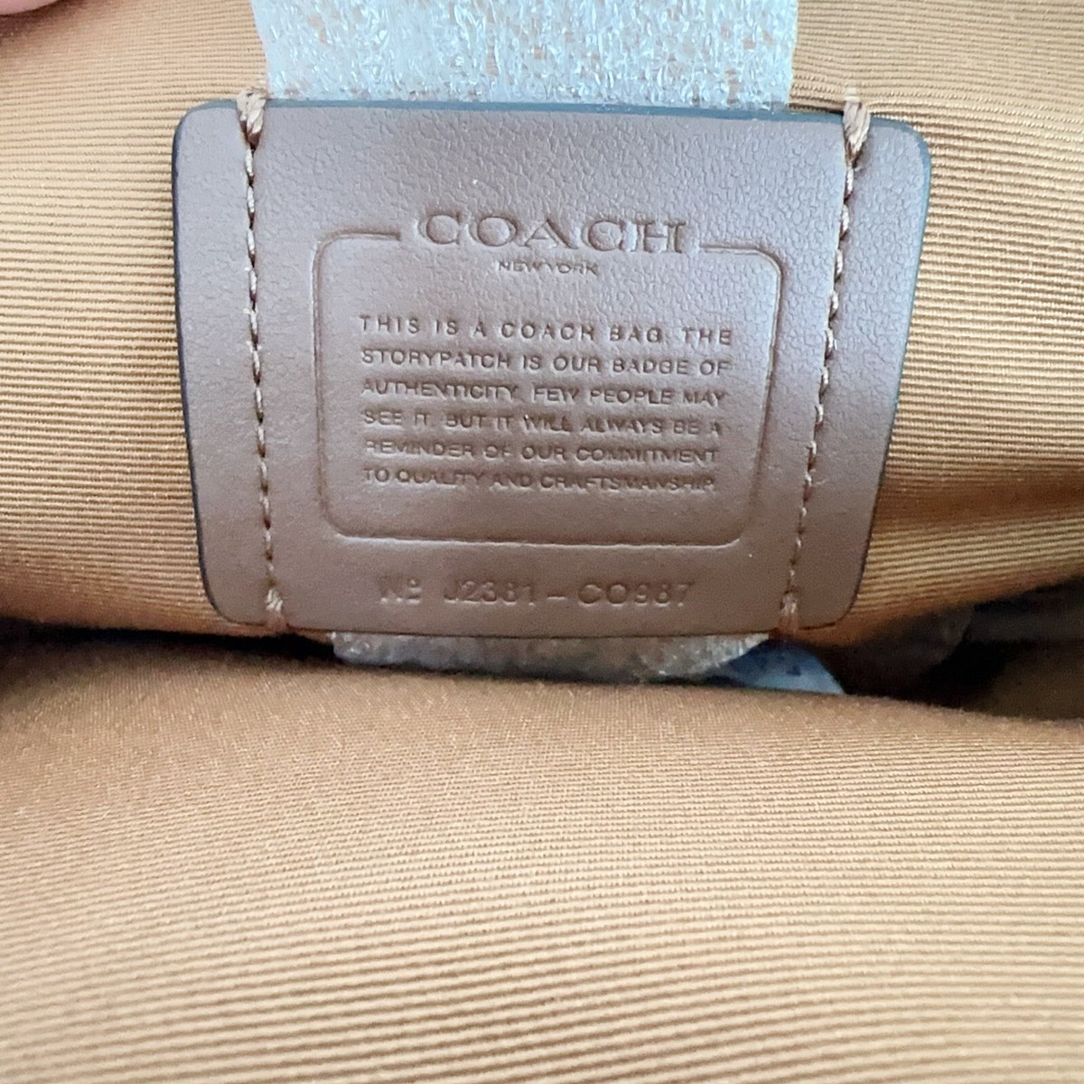 NWT Coach Canteen Crossbody Bag CO987 | eBay