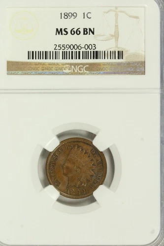 1899 Indian Cent : NGC MS66BN