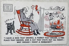 D496 Postcard Spinster not needing a Husband comic humor
