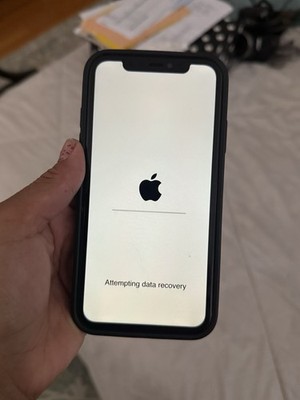iPhone 11   FOR PARTS / DATA RECOVERY   Read Description   Powers On
