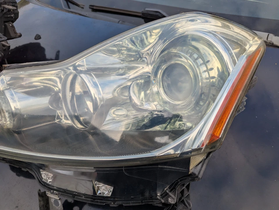 Пара галогенных фар 06–10 Infiniti M35 M45 от оригинального производителя - Изображение 4 из 4