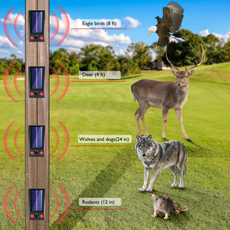 Repelente de animales ultrasónico solar Ahuyentador de perros, gatos y pájaros