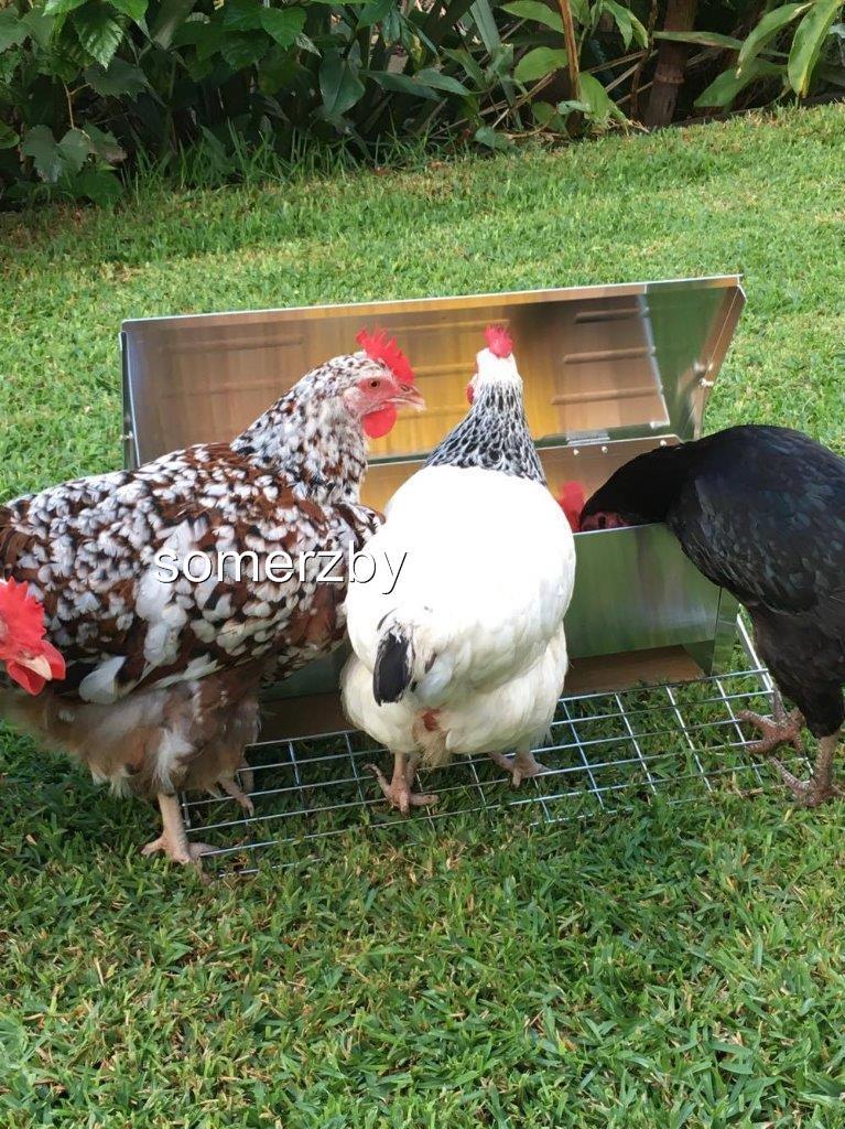 Chicken Feeder 7 2 Kg Treadle Poultry Automatic Self Openingfully