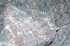 Bild 109 von 121