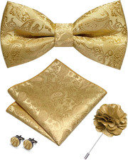 Paisley Pre-tied Bow Tie and Pocket Square Cufflinks Lapel Pin Sets for Men 4PCS