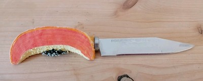 FACKELMANN INOX MESSER mit Griff Melonenscheibe in Kunststoff