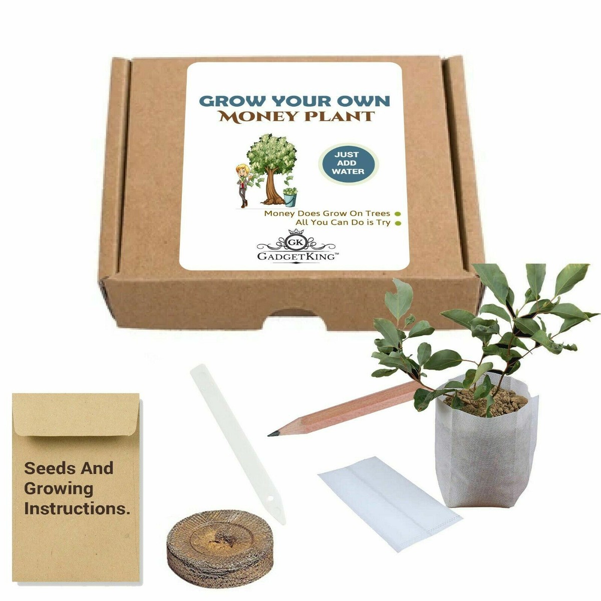 Grow Your Money Tree Stocking Filler Xmas Gift Present for Boys 