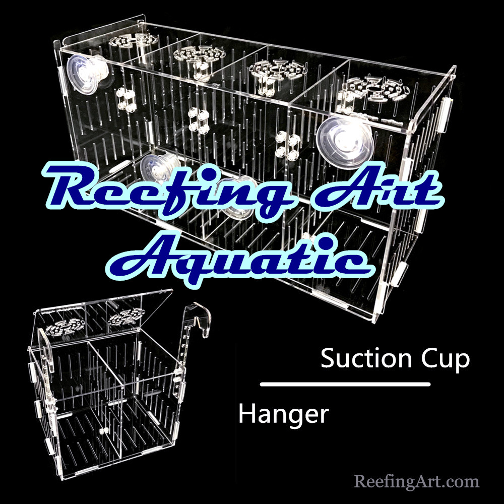  Reefing Art Acrylic Acclimation Breeder Box Quarantine Net Breeding