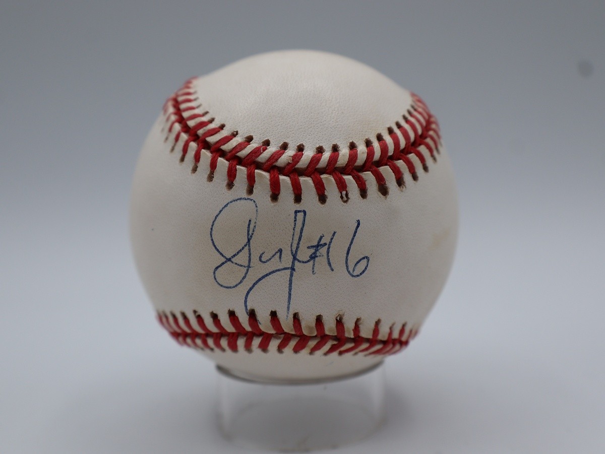 Julius Erving Signed Baseball Autograph Auto PSA/DNA AJ70459