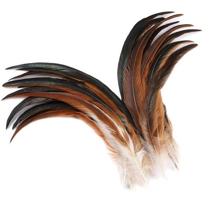 Long Rooster Tail Feathers Bulk - 12-14'' for DIY Projects