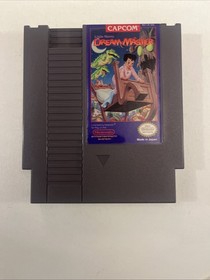 NES CIB Little Nemo: The Dream Master Nintendo completo testato con manuale ottime condizioni