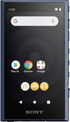 SONY NW-A300シリーズ A306 32gb　ブラック SONY NW-A306 LC WALKMAN 32GB Hi-Res A300 Series Audio Player