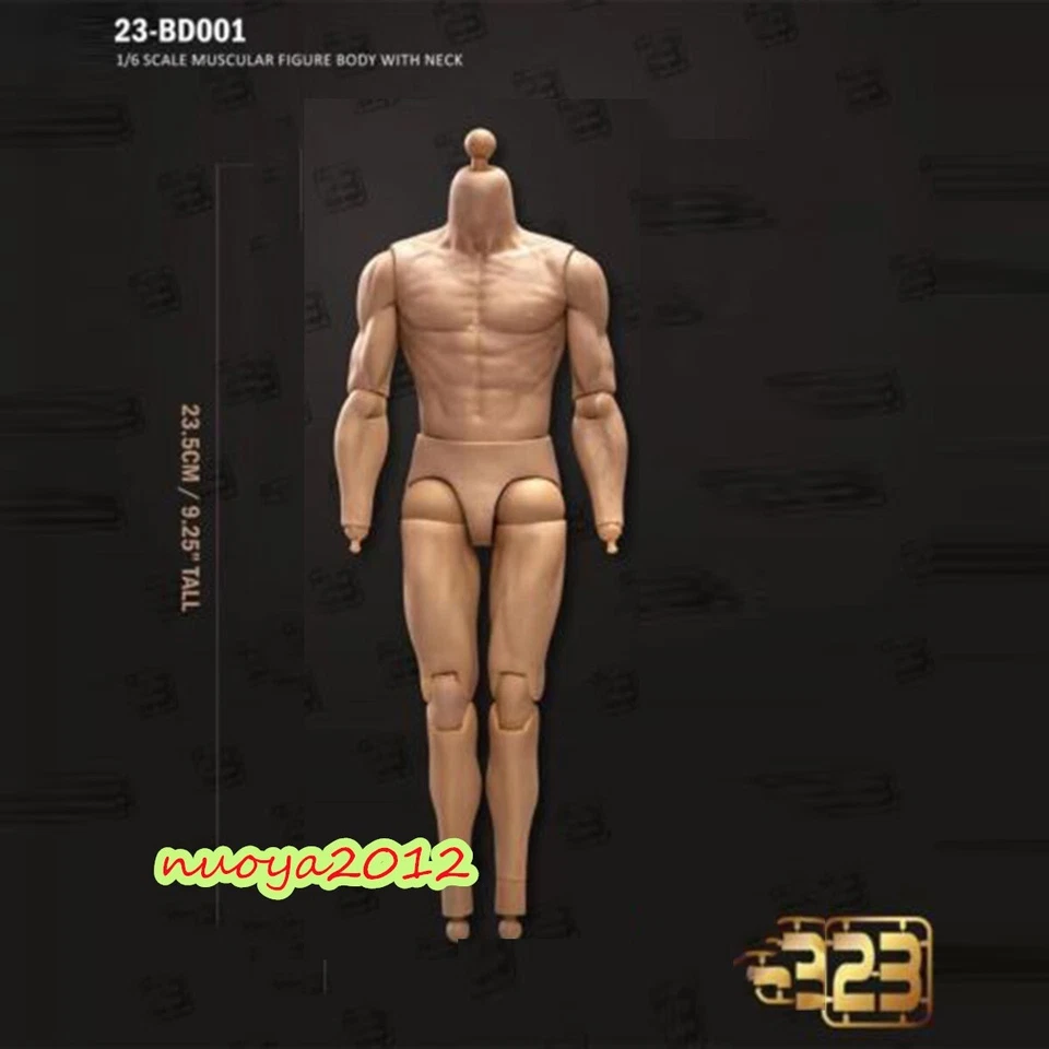 23TOYS BD001 1/6 Male Strong Muscular Body 23.5cm For 12'' Action Figure Model — 第 4/4 张图片