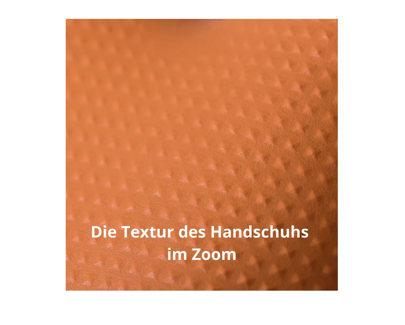 Bild 6 von 8