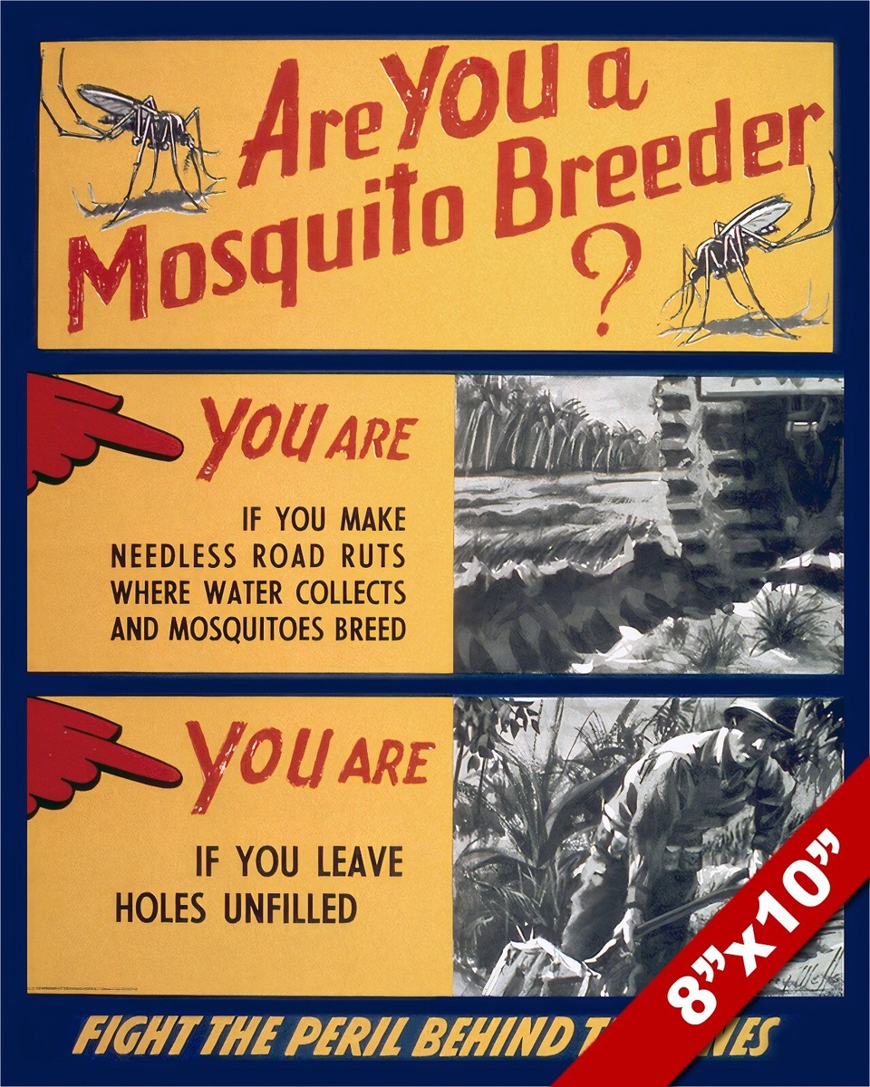 UNITED STATES WWII ANTI MOSQUITO DISEASE PROPAGANDA POSTER REAL