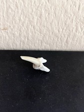dente di squalo, Misura 2.4 Cm