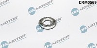 Dr.Motor Automotive Dichtring, Einspritzventil U.A. FüR Ford, Ford, Mazda