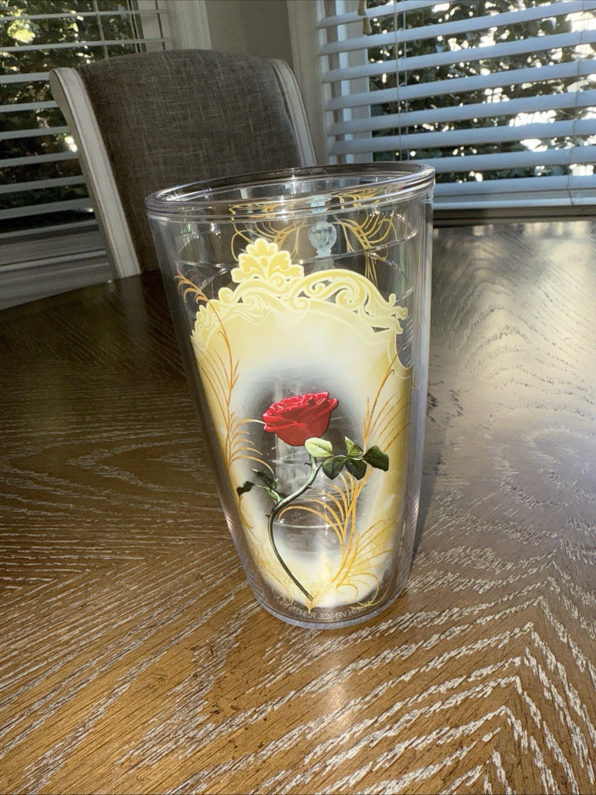 NEW Disney Beauty and The Beast Enchanted Rose Tumbler Tervi