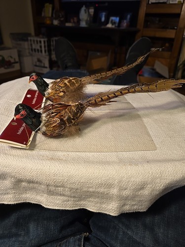 Rooster Pheasant Hanging/Clip On Christmas Tree Ornament Hallmark Real Feathers - Picture 3 of 7