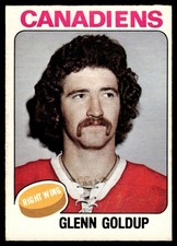 1975-76 O-Pee-Chee Vintage Hockey Glenn Goldup #391 VIEW SCAN