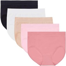 Carole Hochman 5 Pack Women's Underwear Silky Soft Seamless Brief, Size M