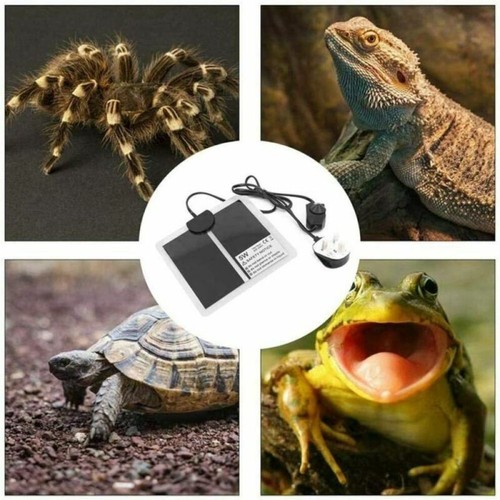 Reptile Vivarium Heat Mat Heating Warm Heater Pad With Thermostat Controller AU - Picture 9 of 18
